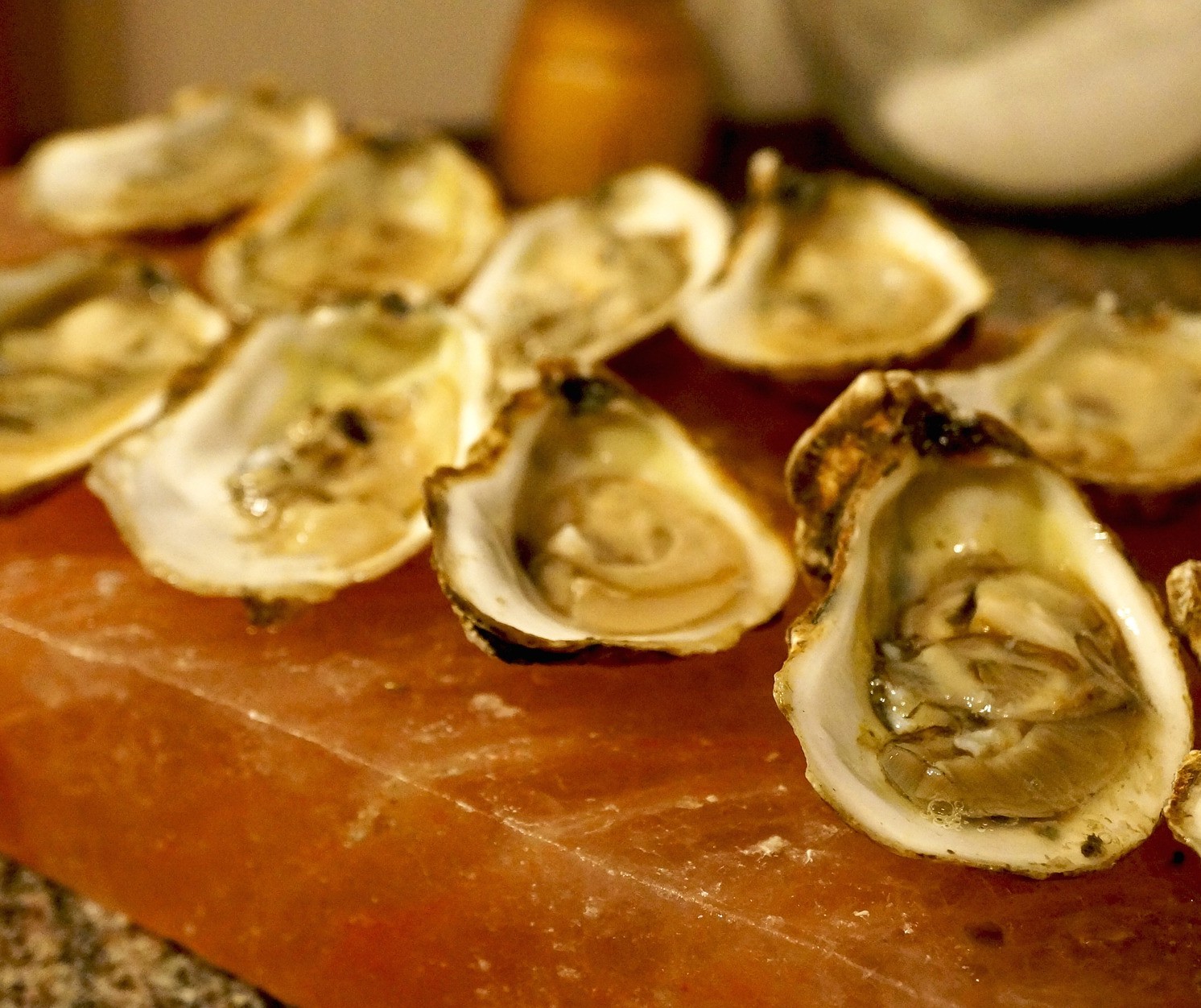 Here Comes Oyster Season
