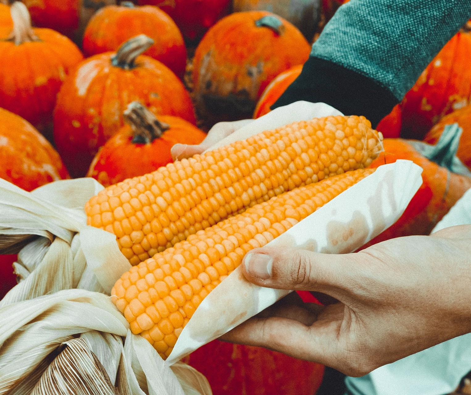 Carolina Farm Credit Gives 100,000 in Grants