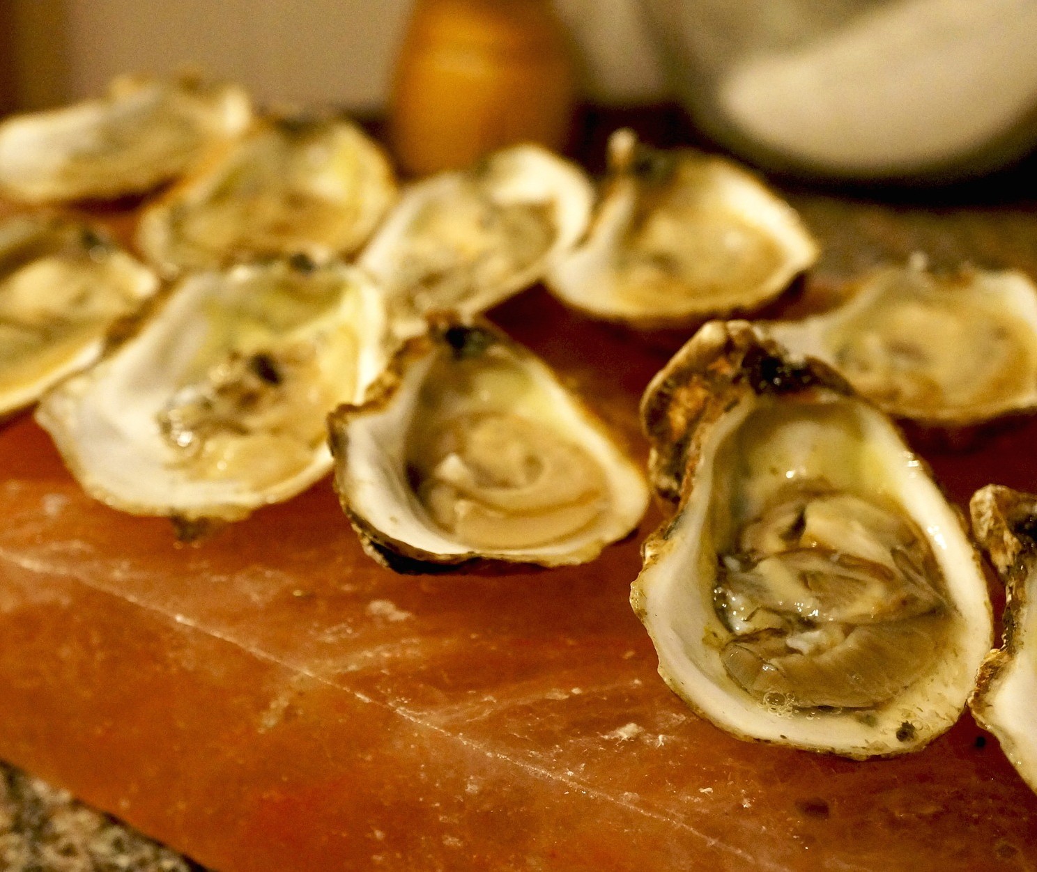 Asheville Affiliates to Host Oyster Roast Benefit for Arts For Life