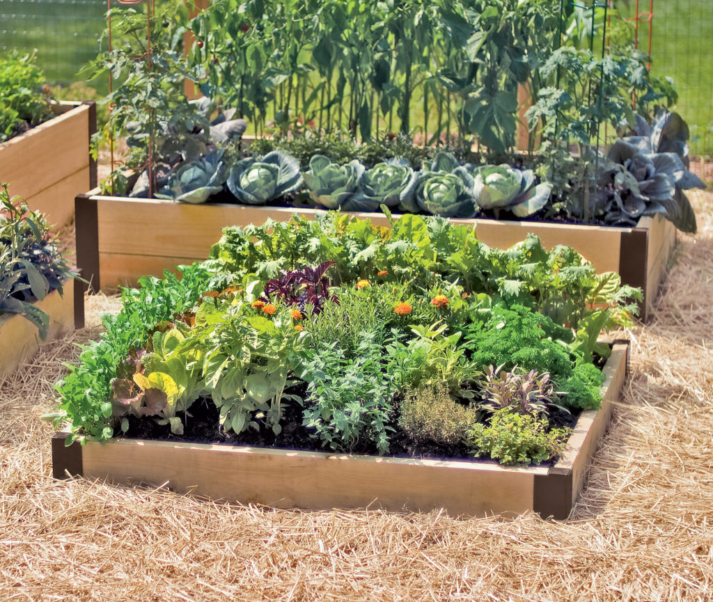 News Archive - Page 14 of 723 - Asheville.com