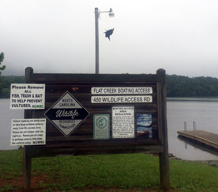 Commission to Combat Problems with Buzzards at Boat Ramps