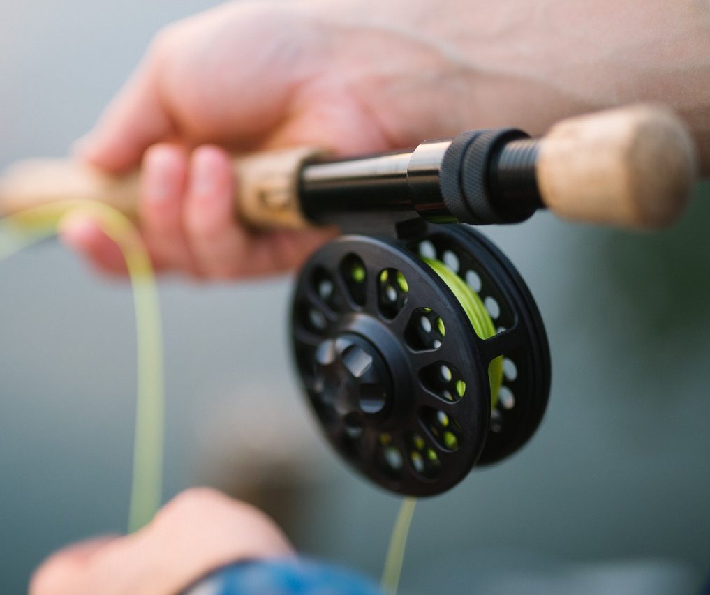 Wildlife Commission Stocking Extra Trout for Additional Fishing