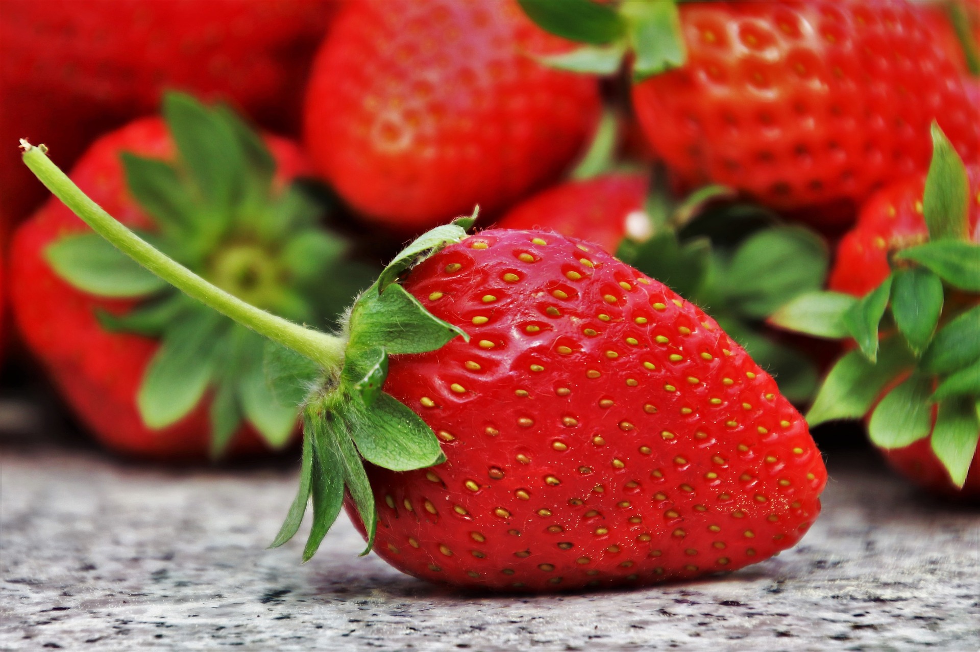 2022 North Carolina Strawberry Season is Underway