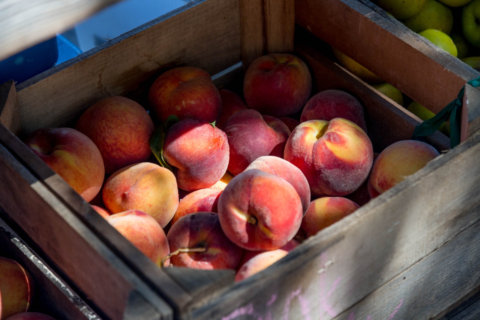 North Carolina Peach Season is Under Way