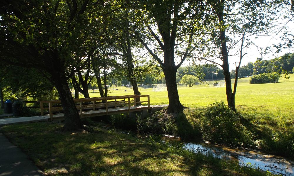 Jackson Park Affected by Diesel Fuel Spill