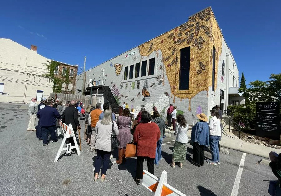 Bee City USA Program Hosts Meeting for Volunteers in January