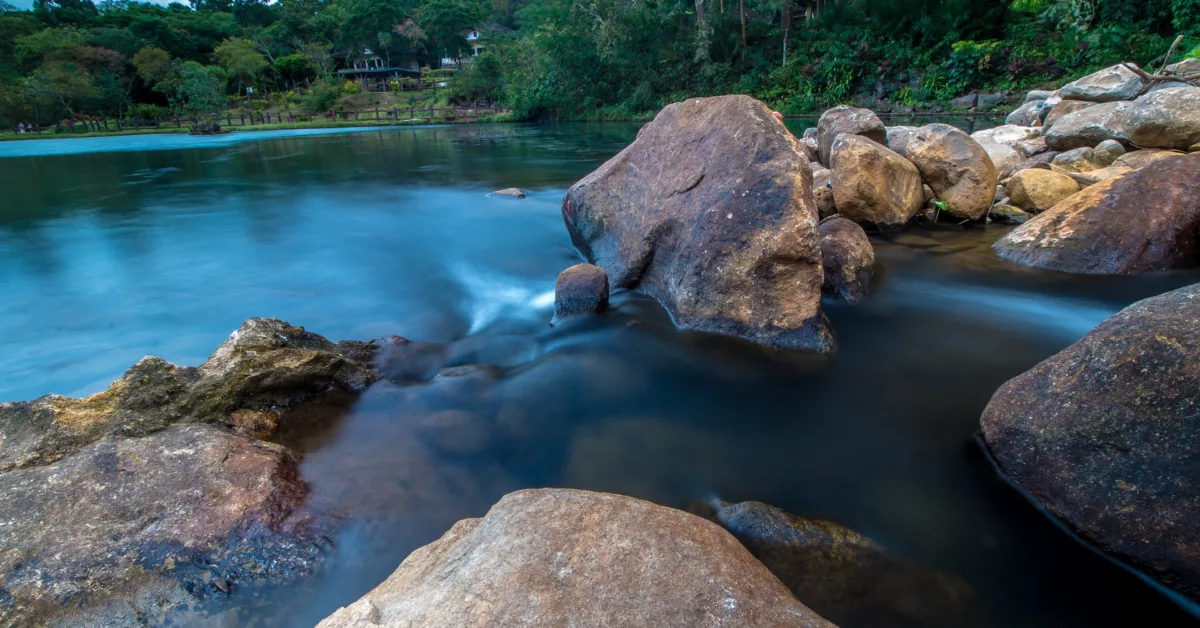 CFWNC’s Pigeon River Fund Awards 285,190 in Water Quality Grants