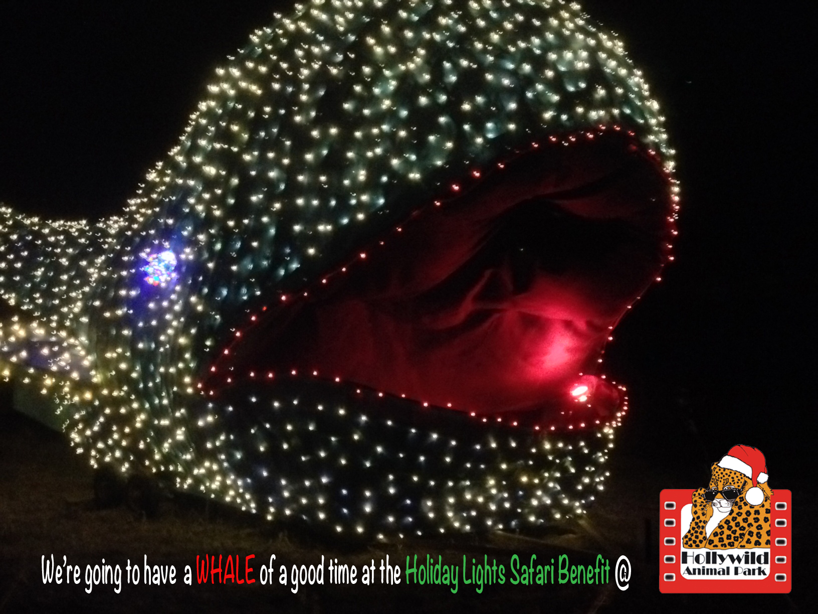 24th Annual Holiday Lights Safari Benefit